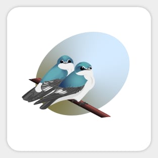 Mangrove swallows Sticker